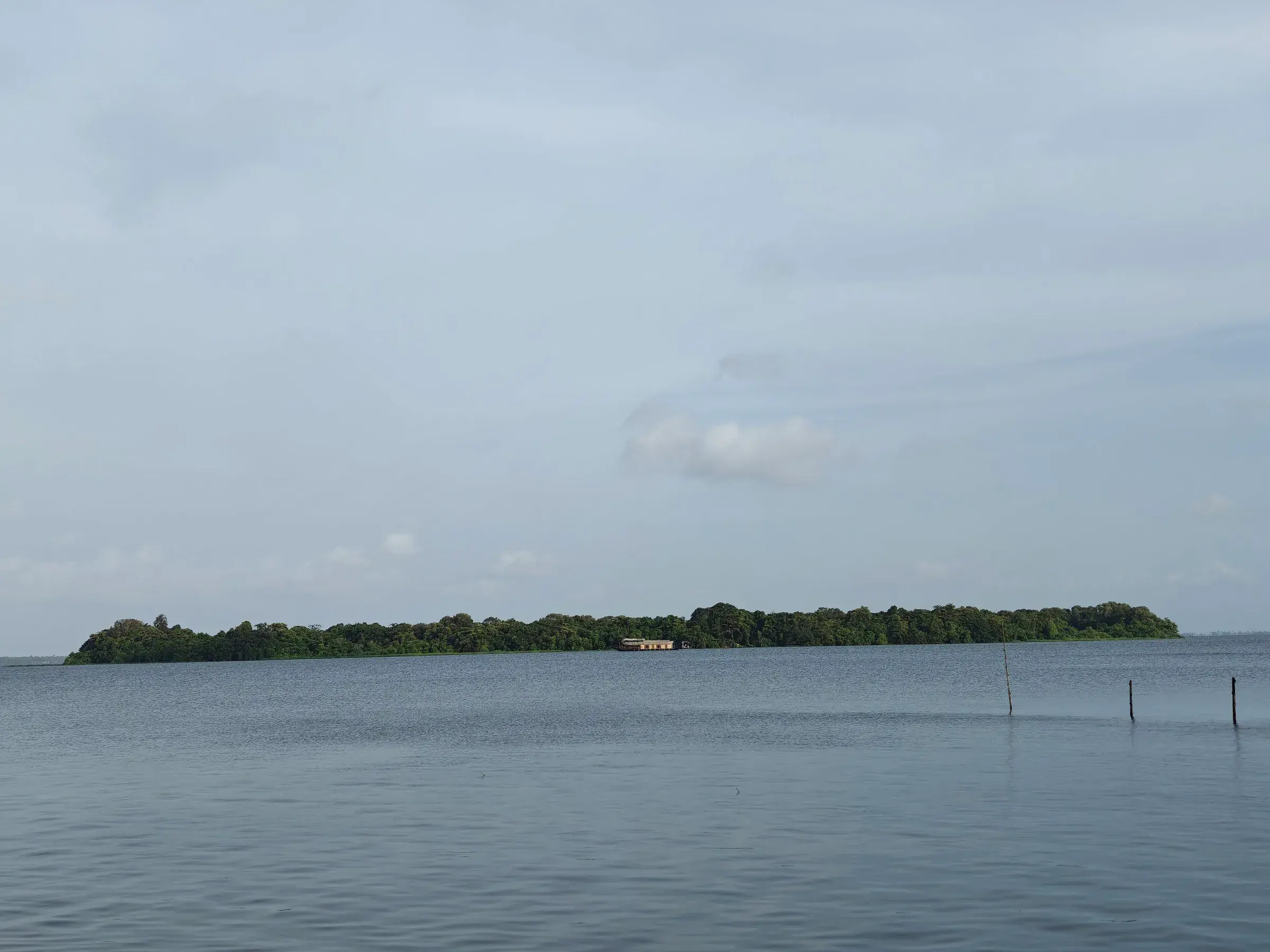 Trees and water on Pathiramanal island