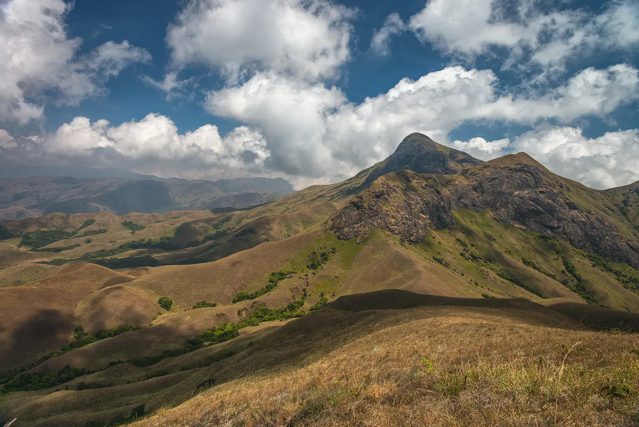 The grassy slopes of Anamudi peak