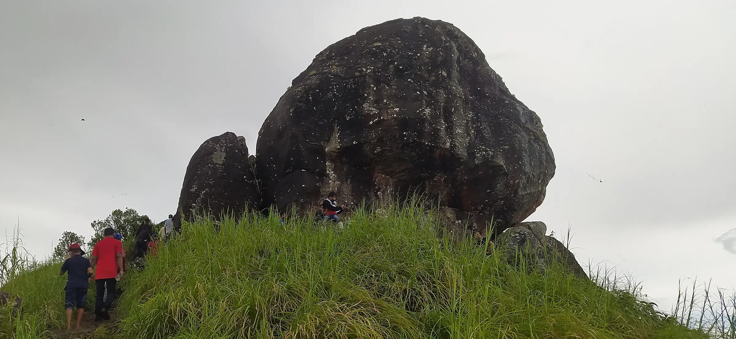 Rolling grassland and forest at Ranipuram