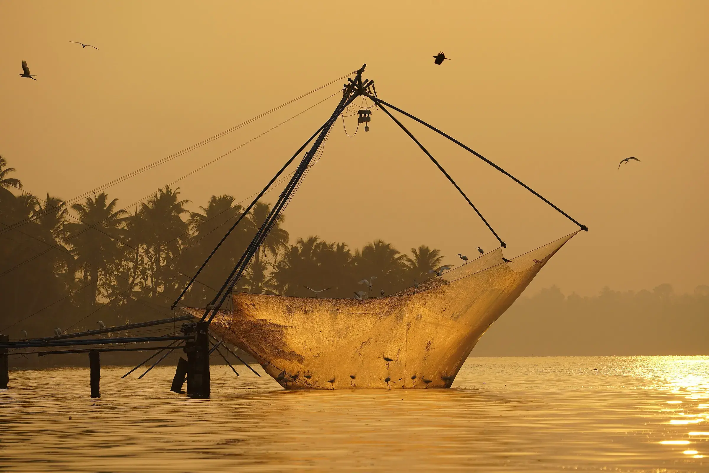 A Chinese fishing net rising out of Ashtamudi Lake at sunrise