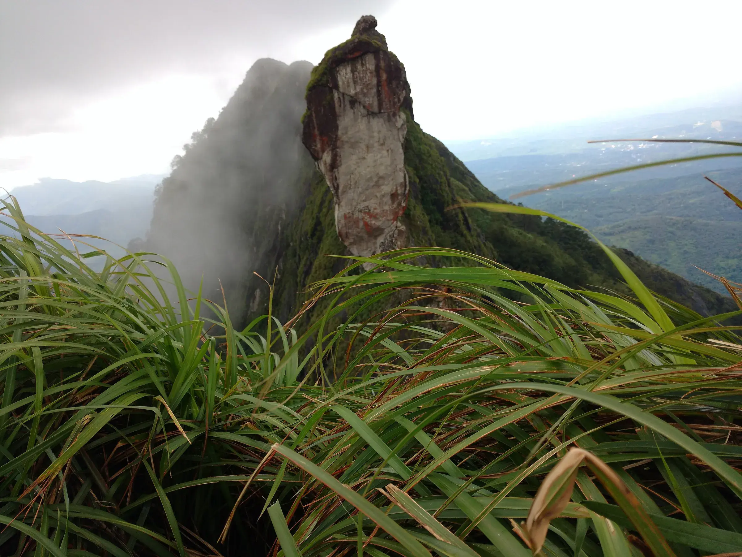 The rocky peaks of Illikkal Kallu above the clouds
