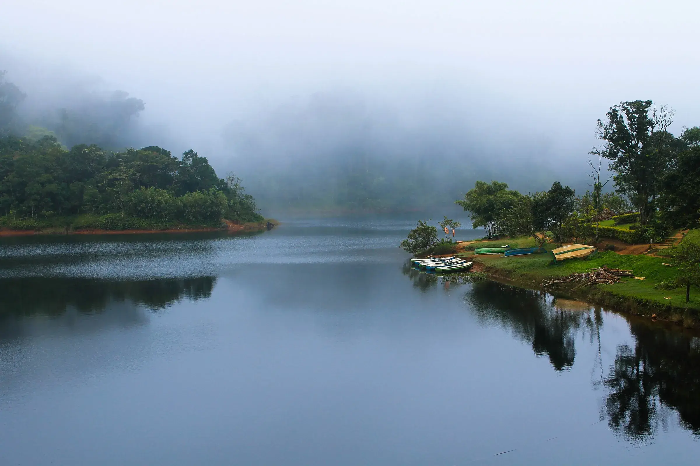 Mist-covered forest and grassland at Gavi