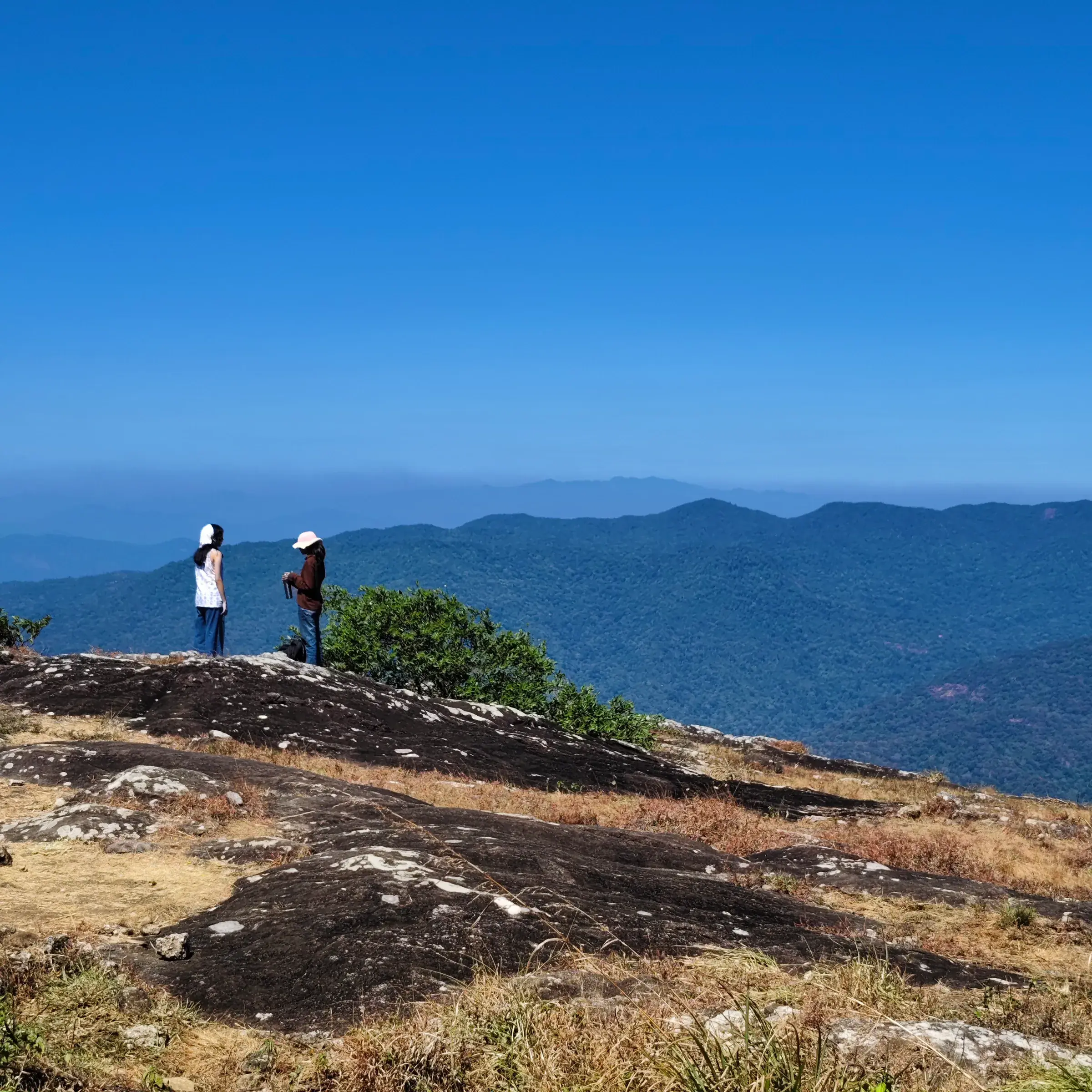 Misty hills and tea slopes at Ponmudi