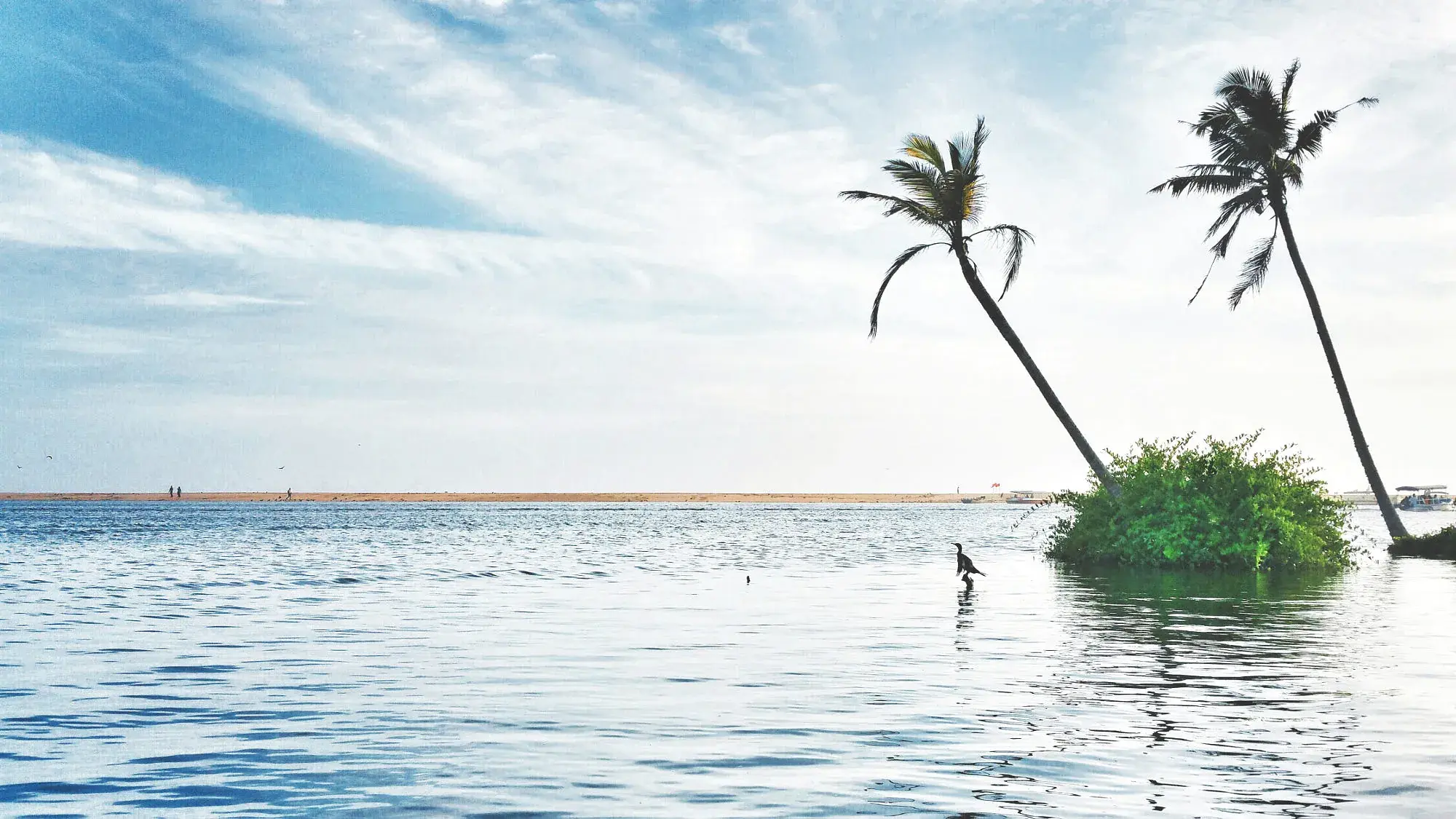 Golden sandbar between the Neyyar estuary and the sea at Poovar