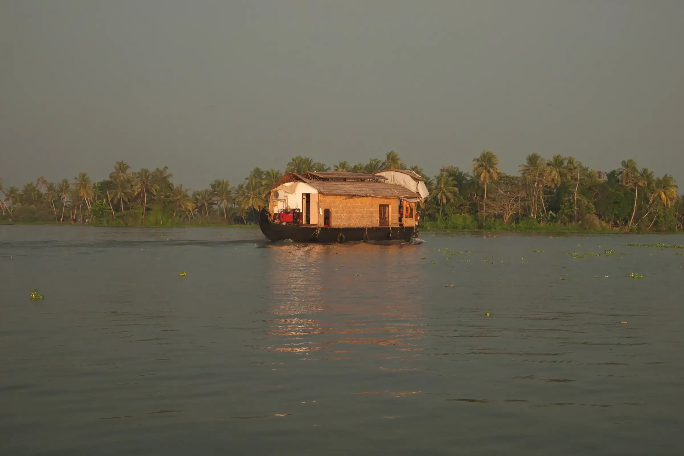 A thatched houseboat gliding across Vembanad Lake, fringed by coconut palms