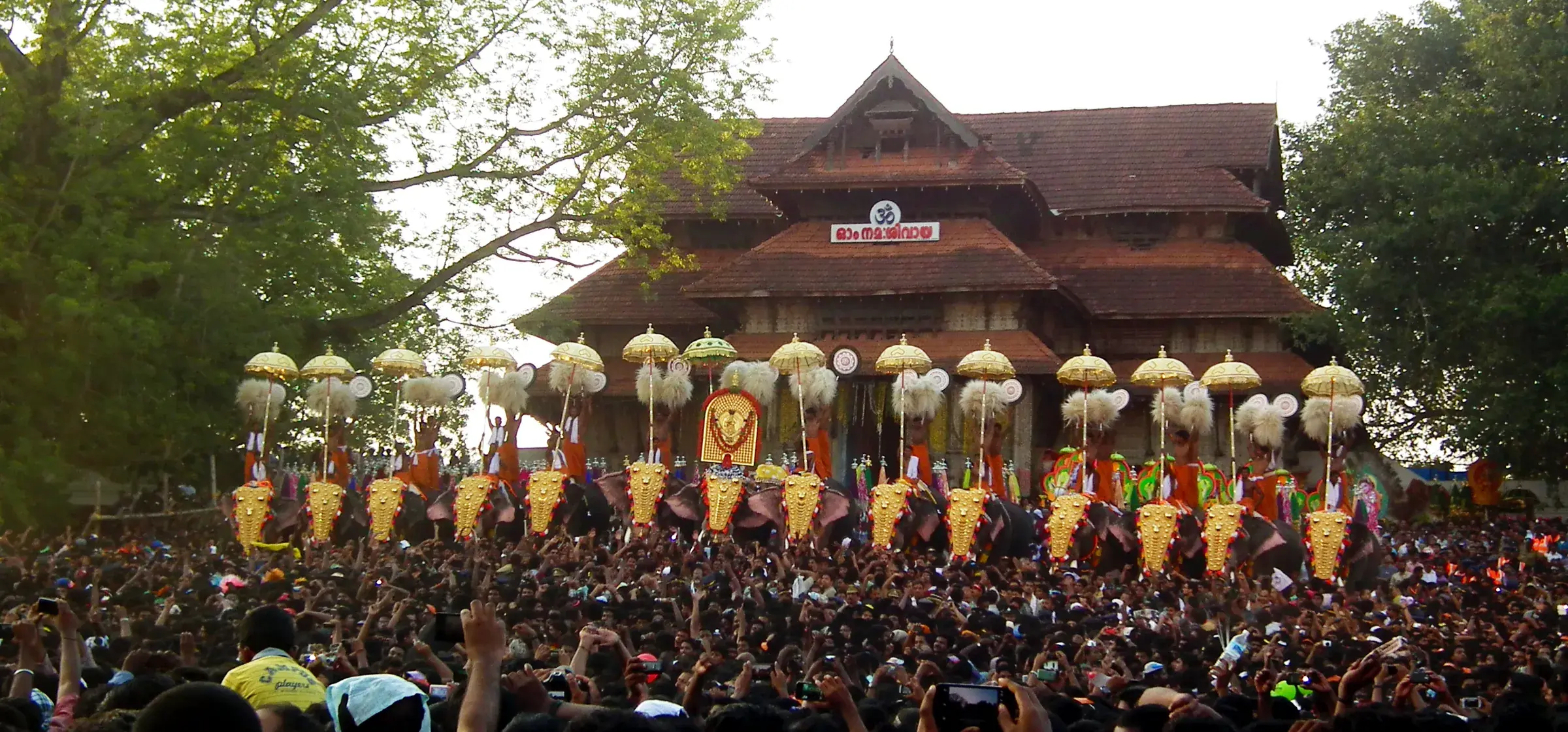 Elephants with sequinned parasols at Thrissur Pooram